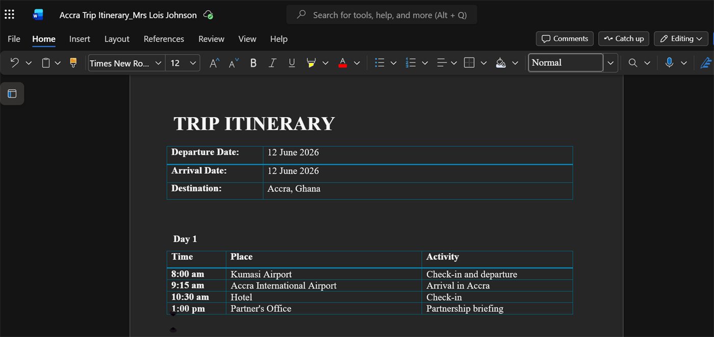Travel itinerary and logistics support service Ghana, ExecutiveAid screenshot 3